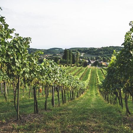 Wein & Gaestehof Erlacher Hartmannsdorf エクステリア 写真