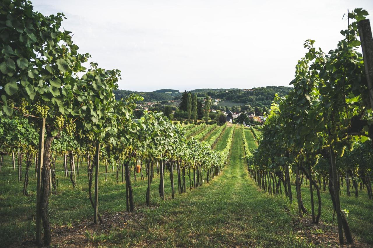Wein & Gaestehof Erlacher Hartmannsdorf エクステリア 写真