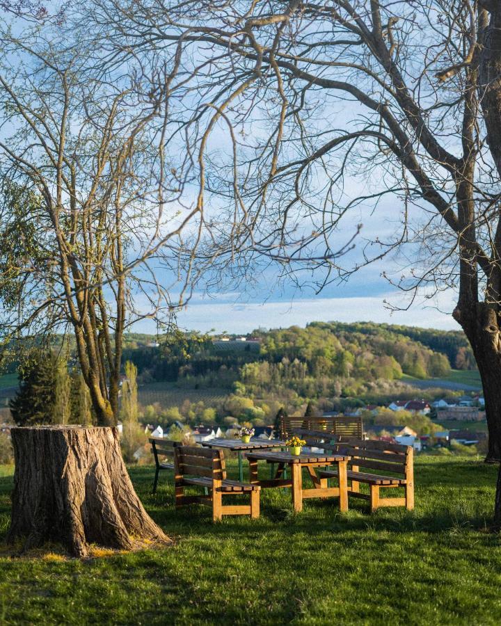 Wein & Gaestehof Erlacher Hartmannsdorf エクステリア 写真